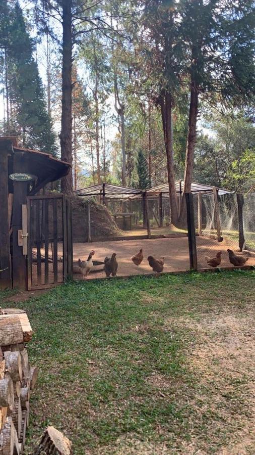 Chale De Luxo Pertinho De Monte Verde Monte Verde  Zewnętrze zdjęcie