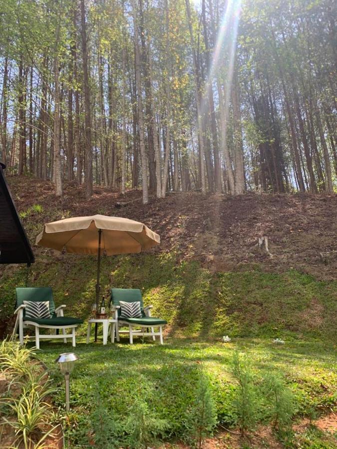Chale De Luxo Pertinho De Monte Verde Monte Verde  Zewnętrze zdjęcie